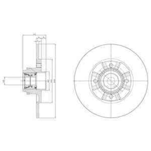 Brake disk with bearing