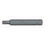 10mm TORX gaura