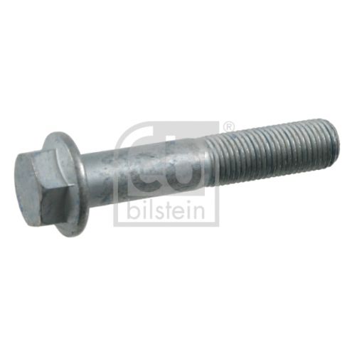 Raw Hex bolts