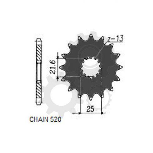 Pinion fata