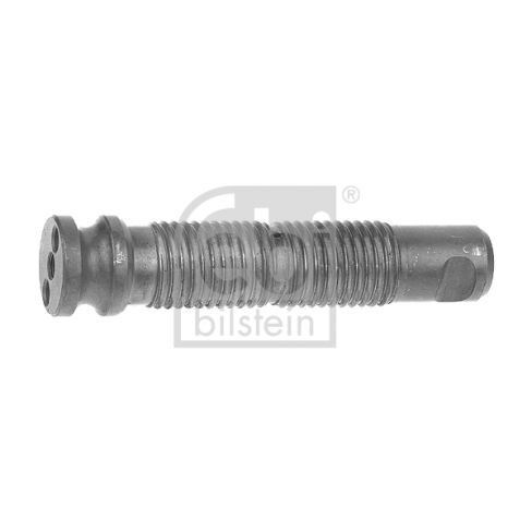 Leaf spring bolt