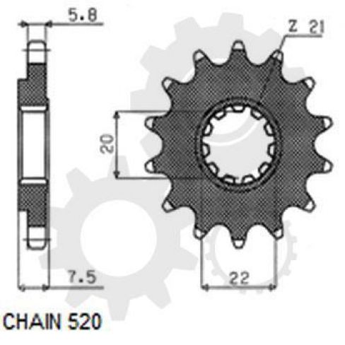 Pinion fata