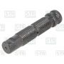 Leaf spring bolt