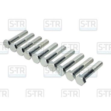 Galvanized Hex bolts