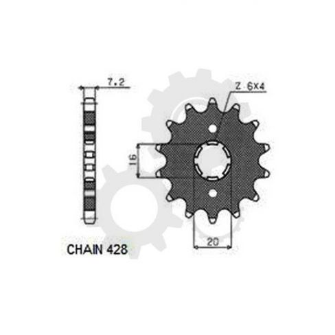 Pinion fata