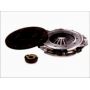 Clutch kit with bearing